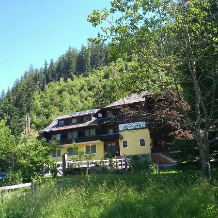 Διαμέρισμα Haus Zedlacher *