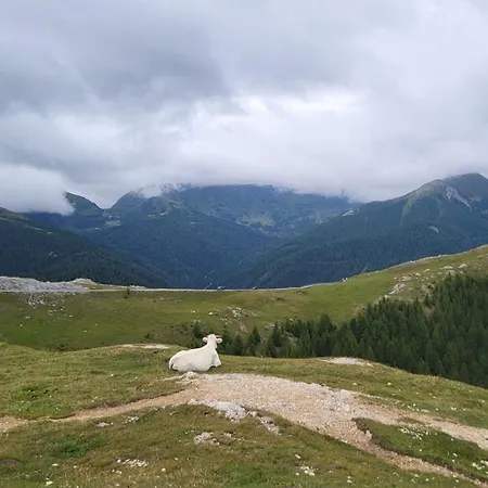 Haus Zedlacher * Patergassen