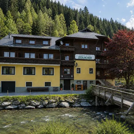 Haus Zedlacher 度假居 *